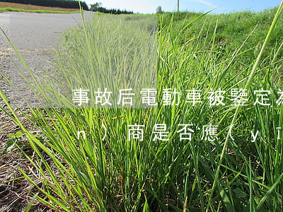 事故后電動車被鑒定為機動車，生產(chǎn)商是否應(yīng)當(dāng)承擔(dān)賠償責(zé)任？